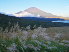 週末の富士山（新作1039）