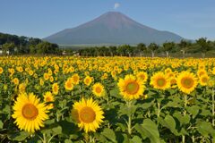 平日の富士山757
