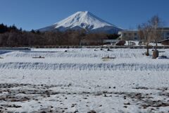 週末の富士山（新作1208）