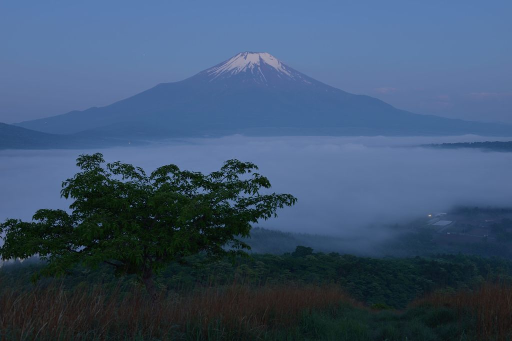 平日の富士山313