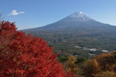 平日の富士山866
