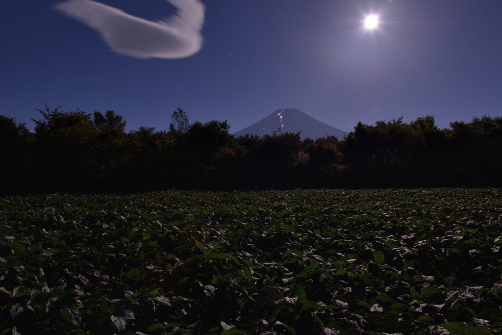 週末の富士山（新作1001）