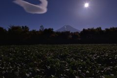 週末の富士山（新作1001）