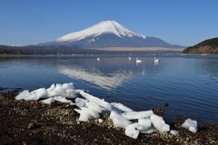 週末の富士山（新作801）