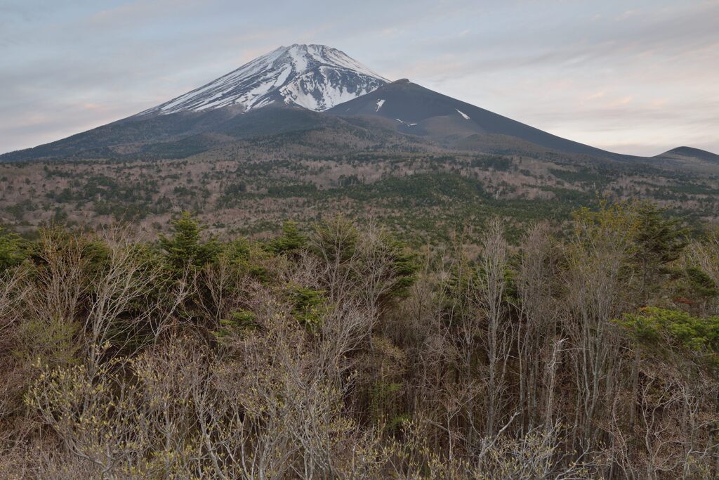 週末の富士山26