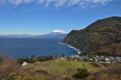 平日の富士山542