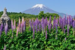 週末の富士山（新作904）