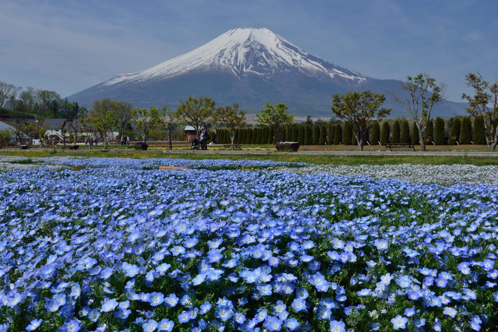 週末の富士山34