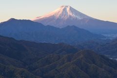 平日の富士山458