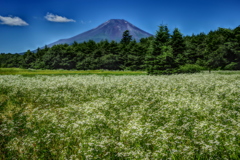 平日の富士山69