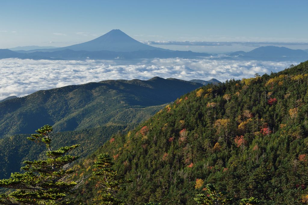 週末の富士山（新作1034）
