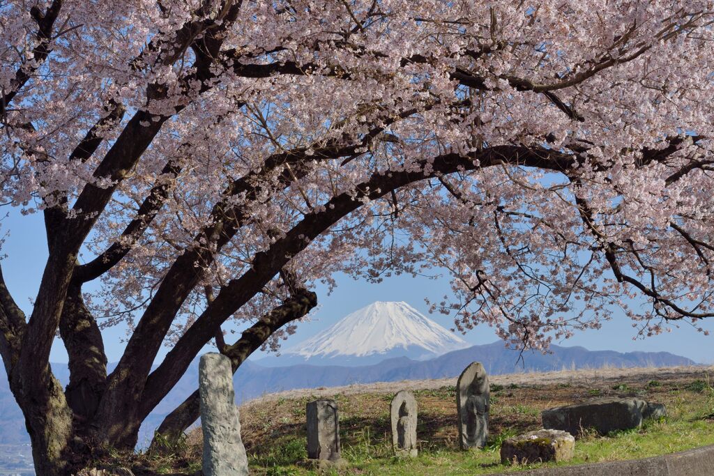 平日の富士山1079