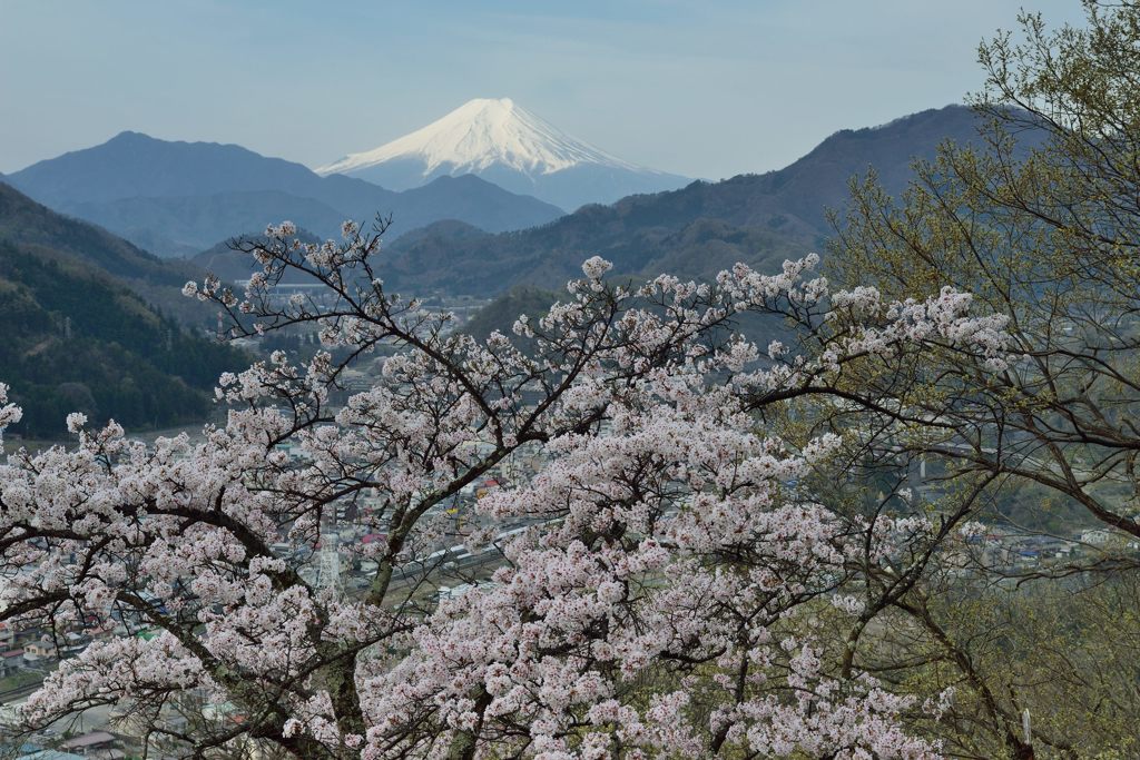 平日の富士山270