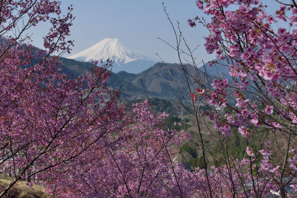 平日の富士山1098