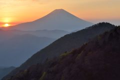 週末の富士山（新作1183）