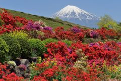 週末の富士山（新作624）