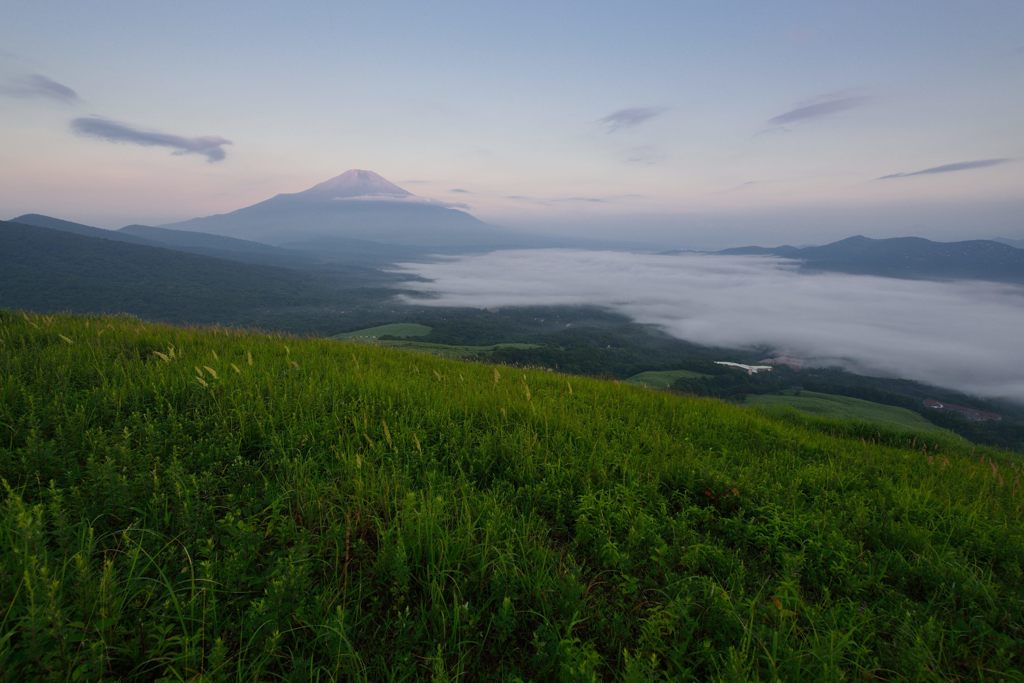 週末の富士山（新作468）