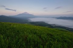 週末の富士山（新作468）