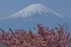 週末の富士山（新作849）