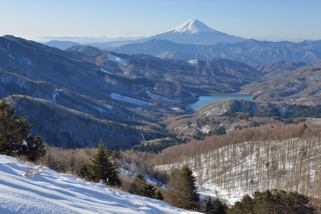 週末の富士山（新作1239）