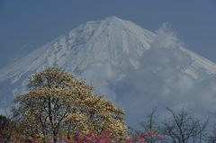 週末の富士山（新作179）