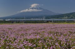 週末の富士山（新作449）