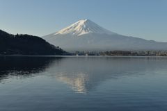 週末の富士山（新作786）