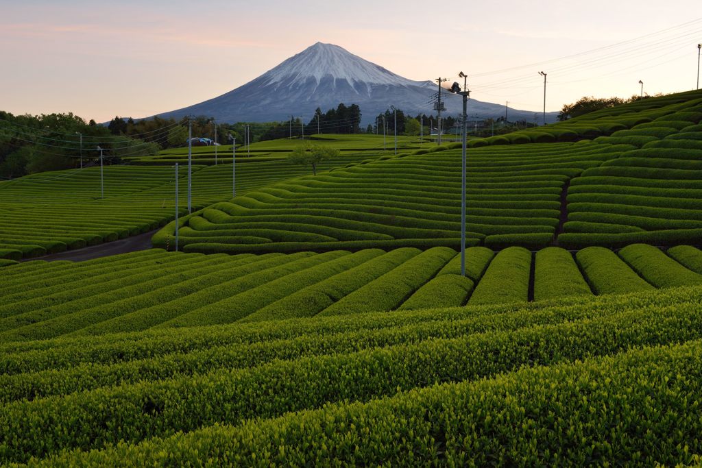 週末の富士山（新作1163）
