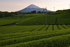 週末の富士山（新作1163）