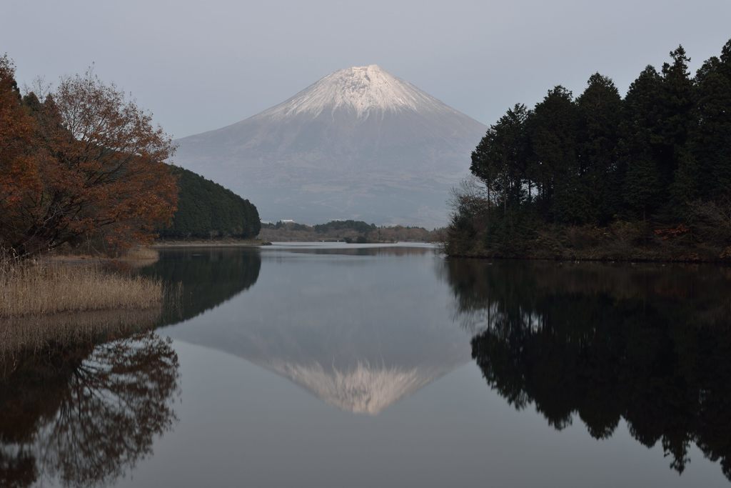 平日の富士山440