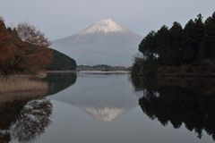 平日の富士山440