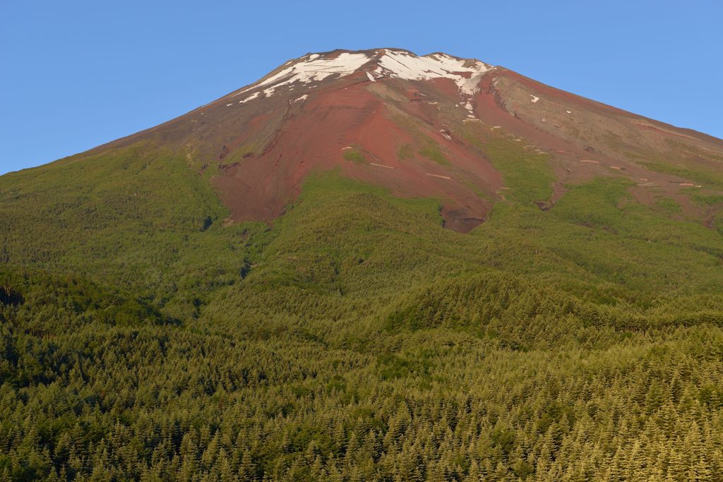 週末の富士山（新作917）