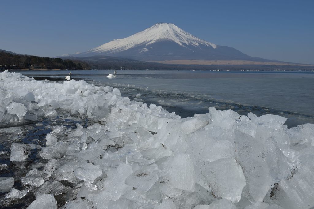 週末の富士山（新作806）