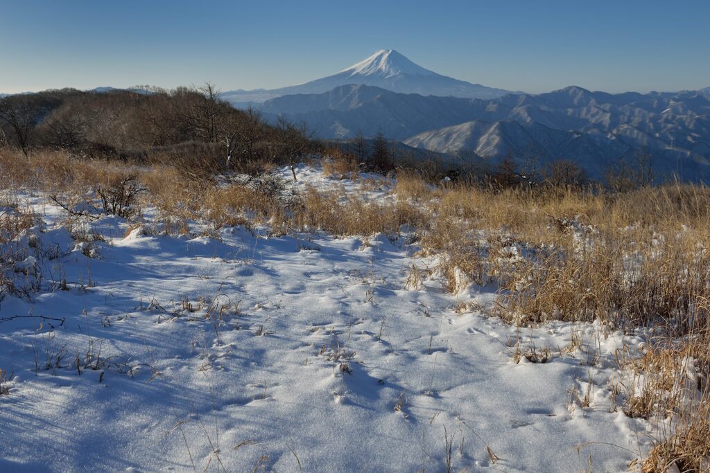 平日の富士山1003