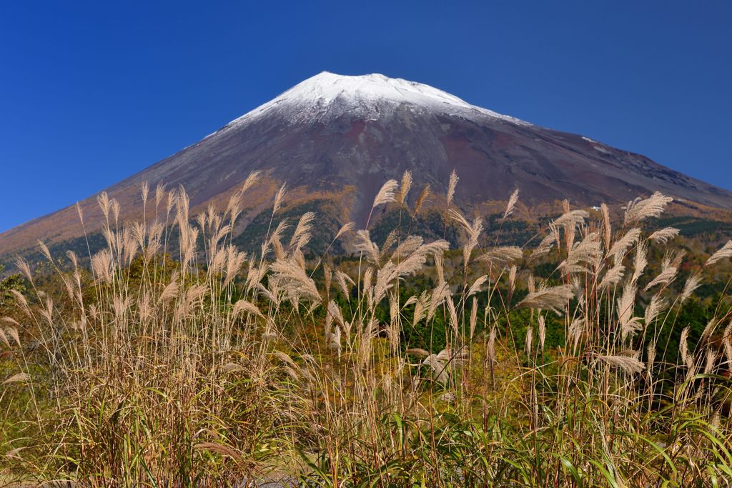 平日の富士山395