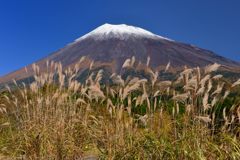 平日の富士山395