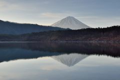 週末の富士山（新作1113）
