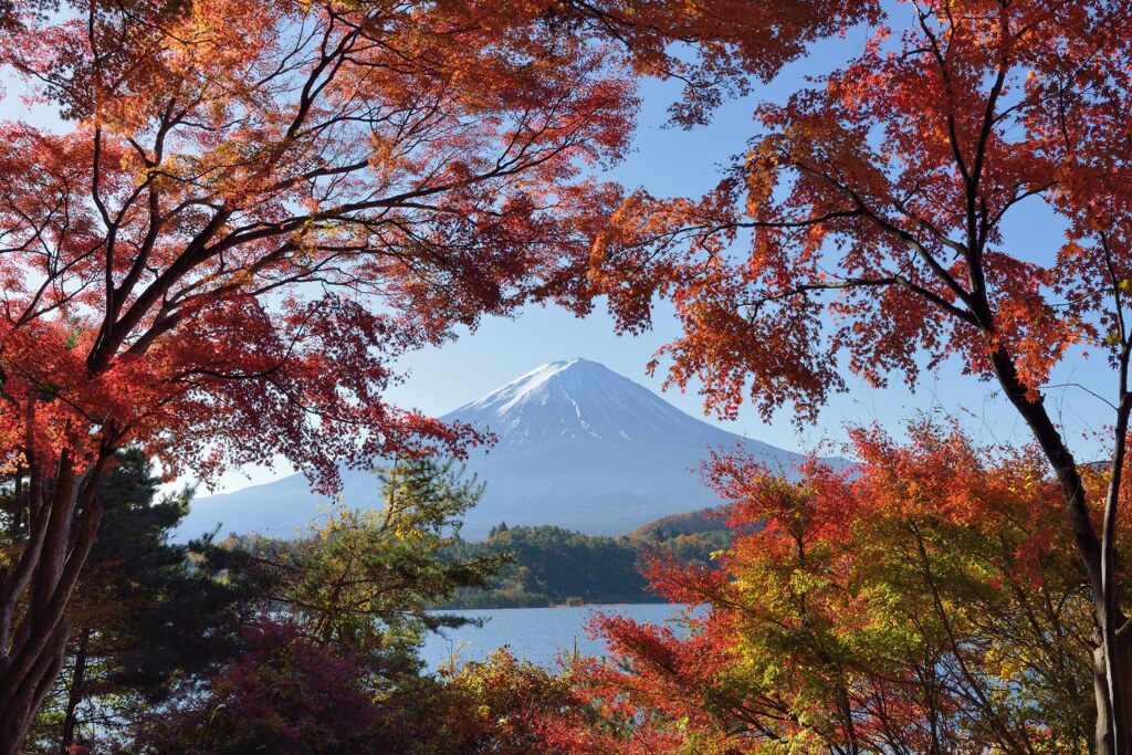 平日の富士山909