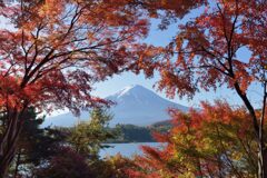 平日の富士山909