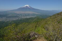 週末の富士山52
