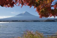 平日の富士山921