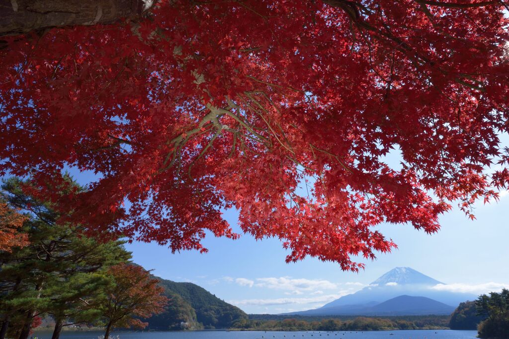 週末の富士山189
