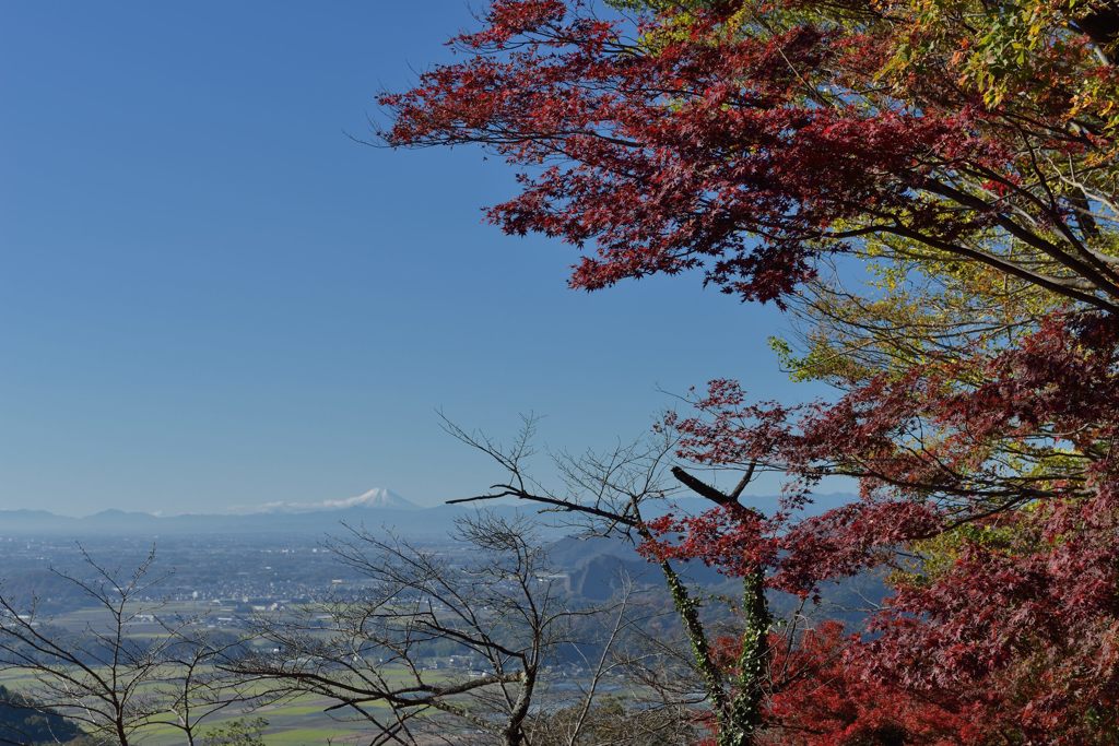 週末の富士山（新作1062）