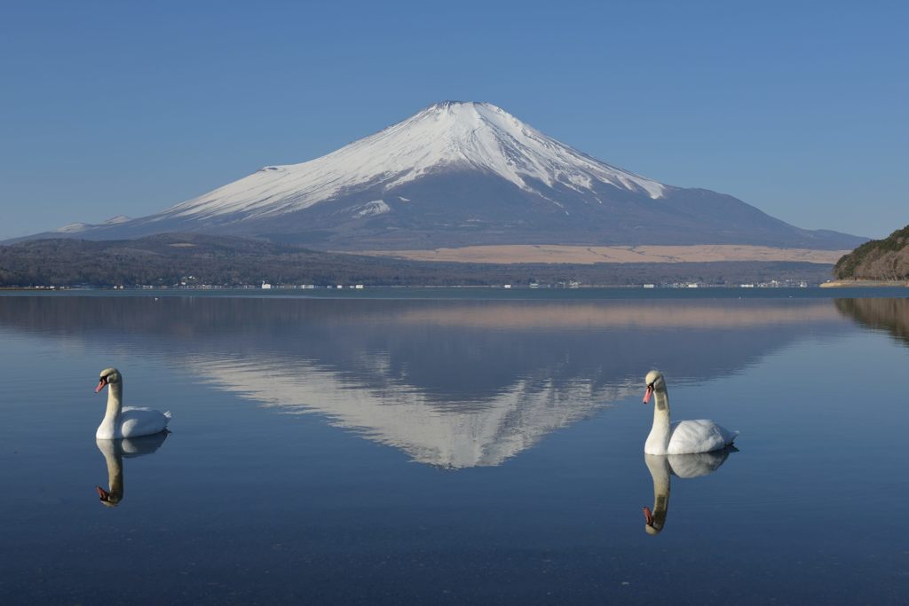 週末の富士山（新作790）