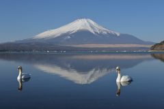 週末の富士山（新作790）
