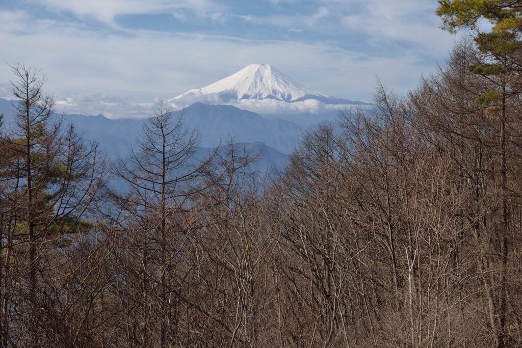 週末の富士山（新作1355）