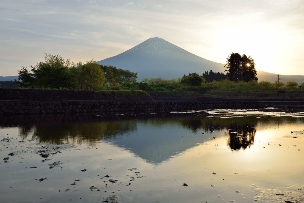 週末の富士山（新作633）