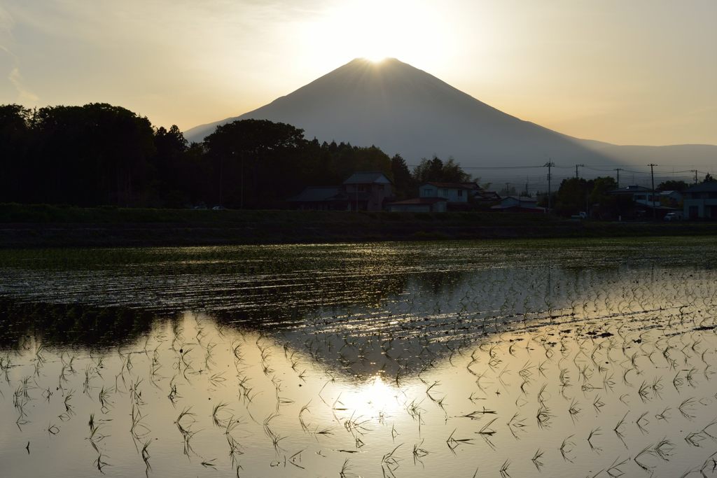 週末の富士山（新作875）
