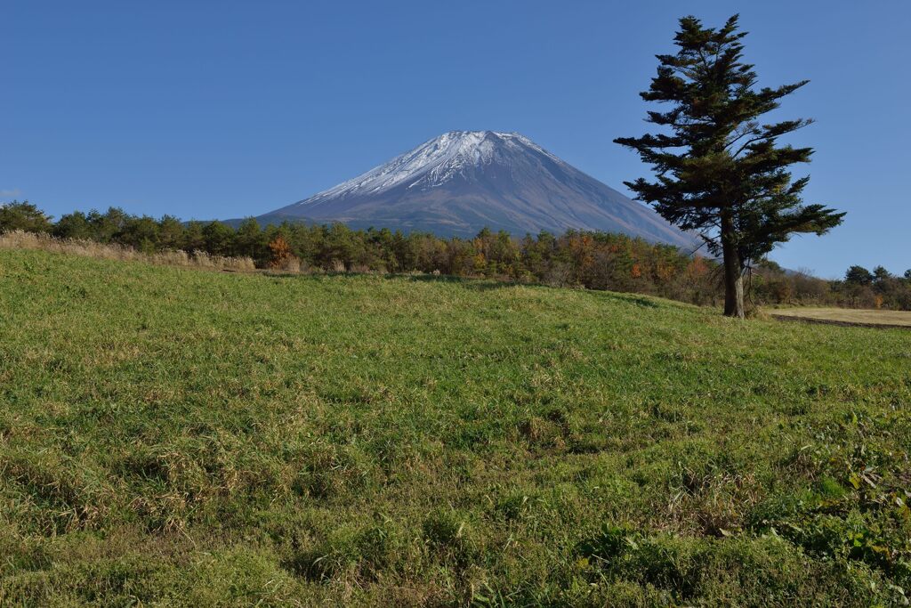 週末の富士山192
