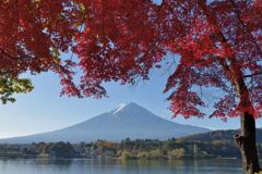 平日の富士山900